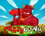 Crazy Cows